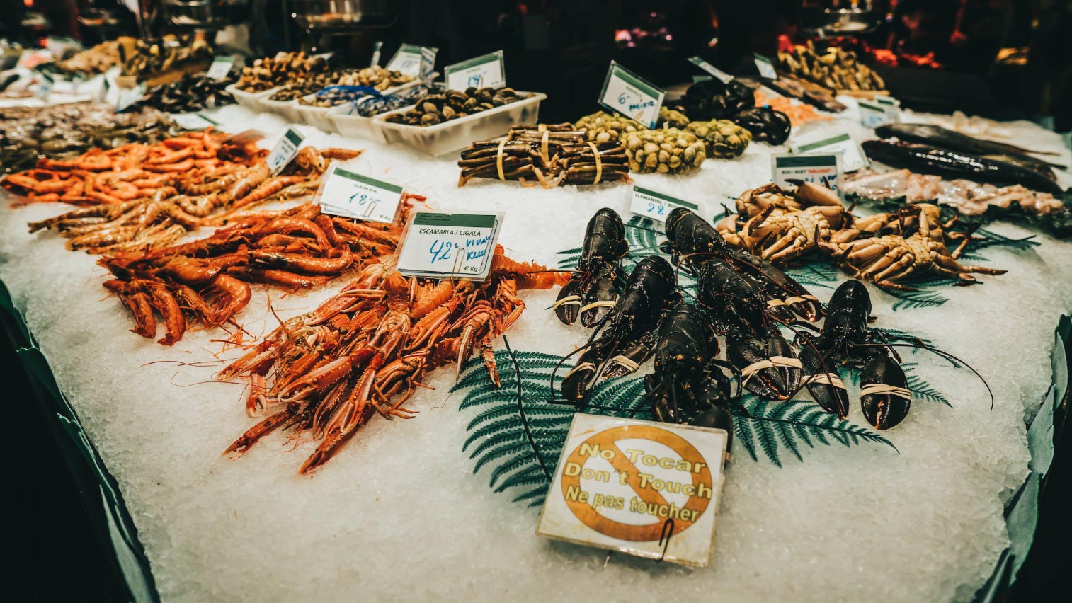 Hải sản nhập khẩu tươi ngon
