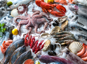 Hải sản nhập khẩu uy tín chất lượng tại KINGFISH