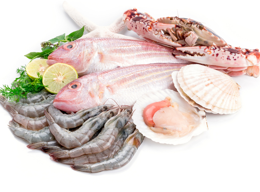 phân phối hải sản