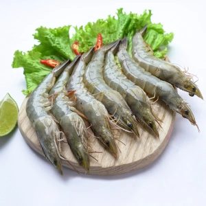 Choosing and Enjoying Fresh and Delicious Shrimp: Tips from Kingfish