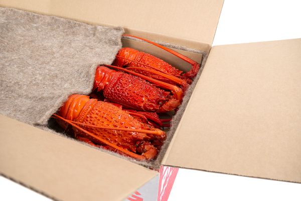 thùng carton hải sản