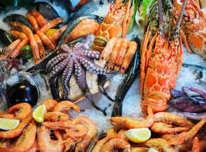 Dịch vụ phân phối hải sản chuyên nghiệp của KINGFISH