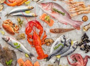 Nguồn cung hải sản chính ngạch tại KINGFISH