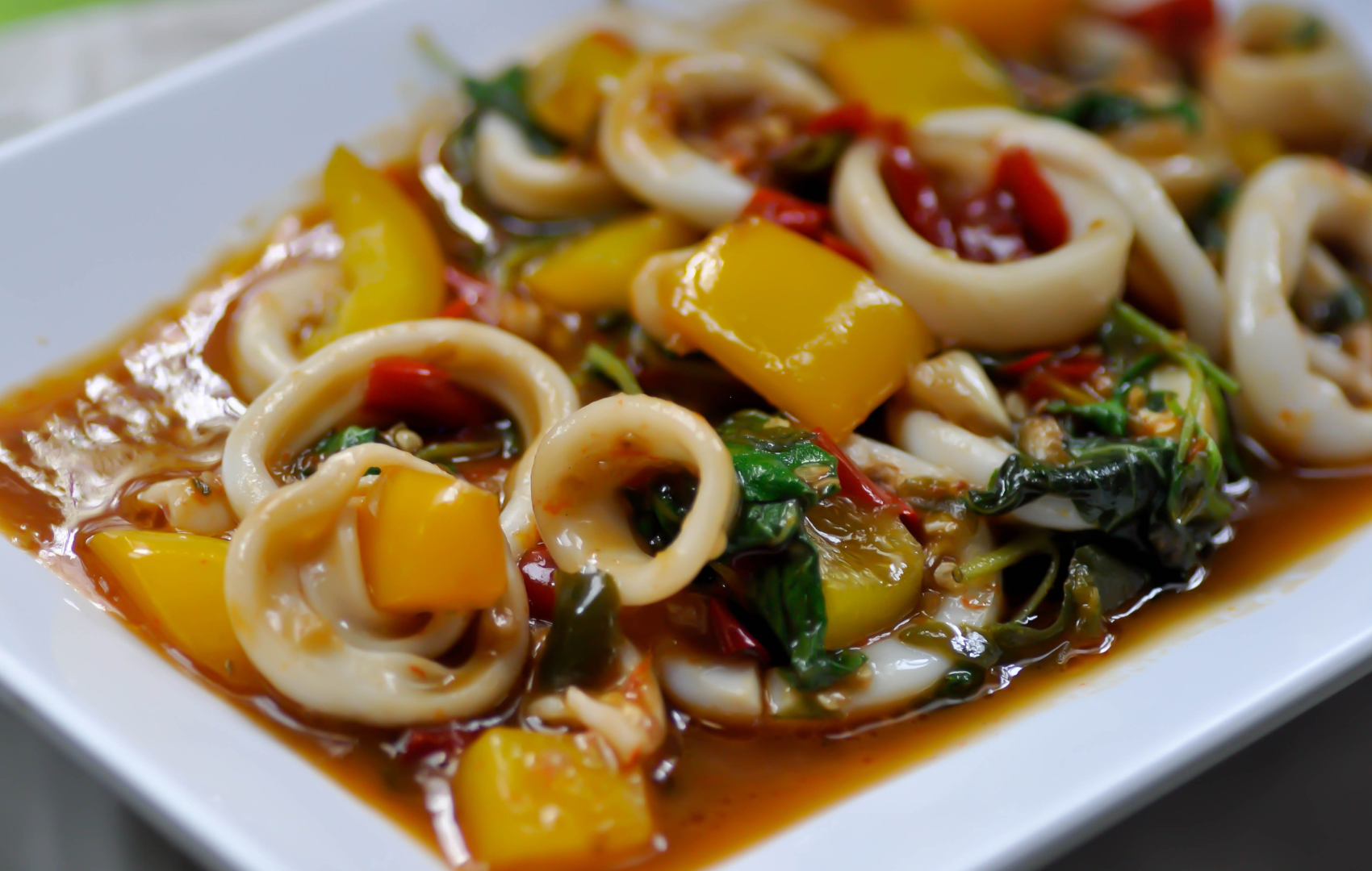 món ăn mực ống loligo