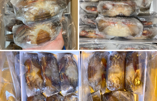 Frozen Soft-shell Crab