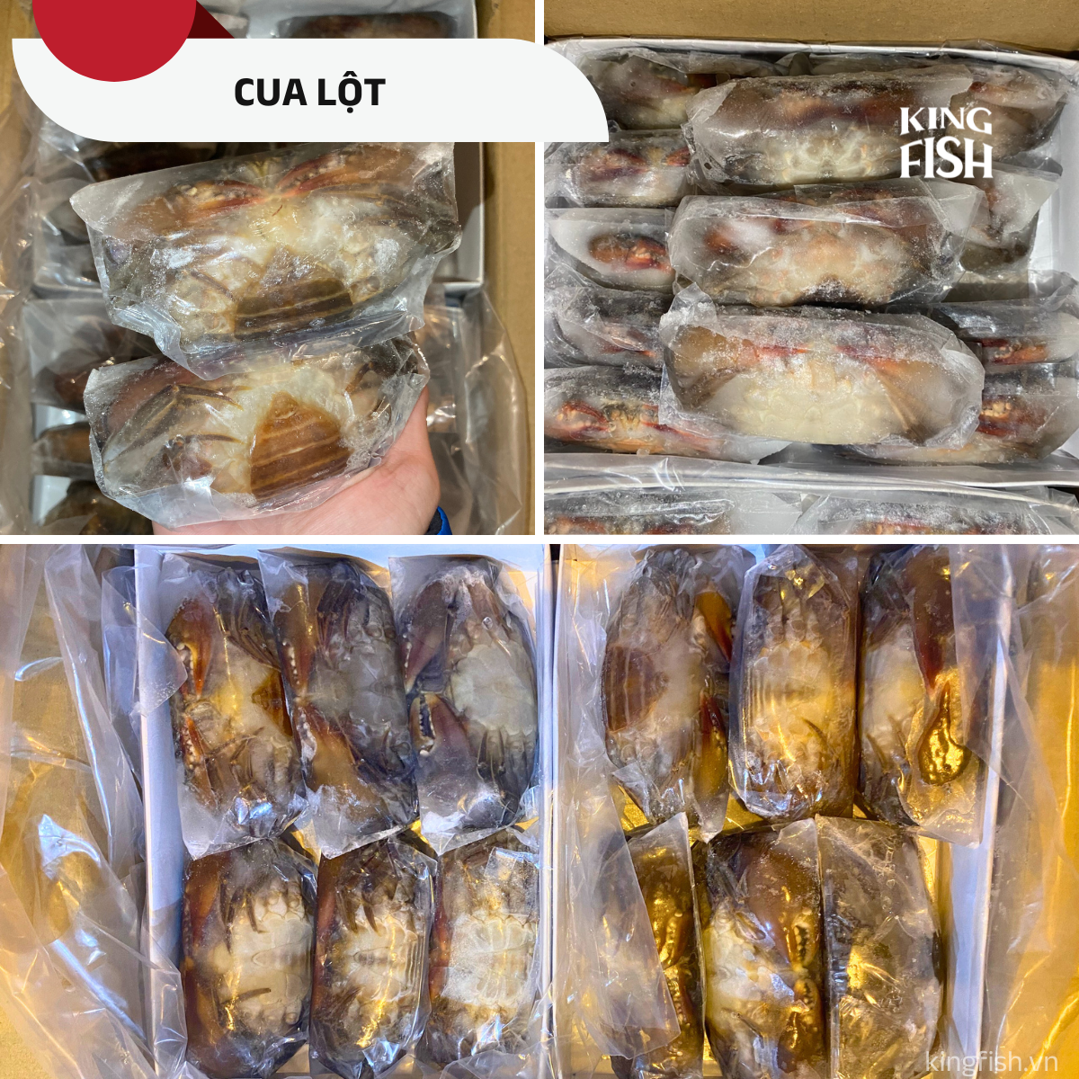 cua-lot-nhap-khau-kingfish
