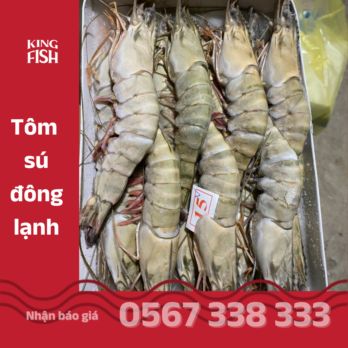 KINGFISH - Phân phối sỉ nguồn hải sản đông lạnh