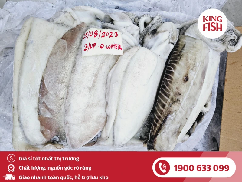 kingfish-phan-phoi-muc-nang-si-toan-quoc-gia-tot