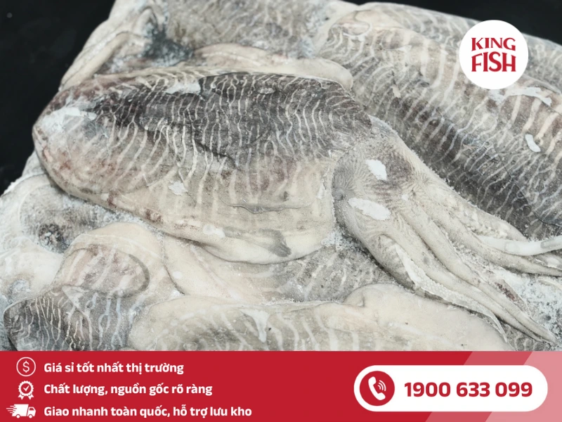 kingfish-phan-phoi-si-muc-nang-nhap-khau