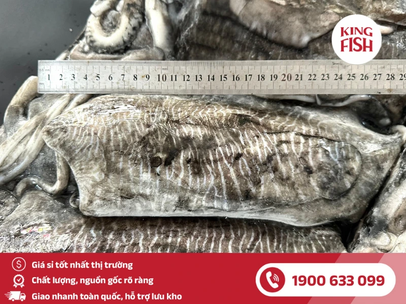 kingfish-phan-phoi-si-muc-nang-toan-quoc-gia-tot