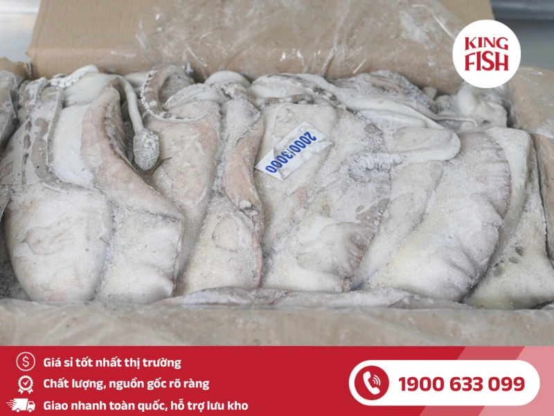 kingfish-phan-phoi-si-muc-nang-toan-quoc
