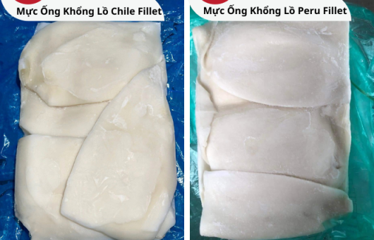 Frozen Giant Squid Fillet