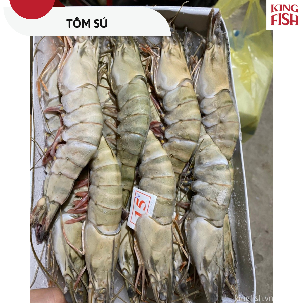 tom-su-kingfish
