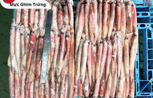 Mực Ghim Trứng Đông Lạnh