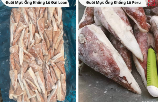 Giant Squid Tail