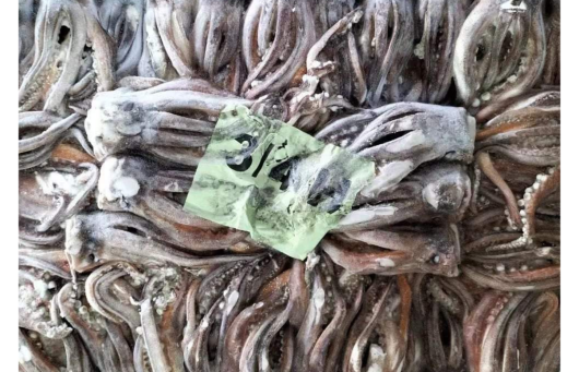 Frozen Taiwanese Squid Tentacles