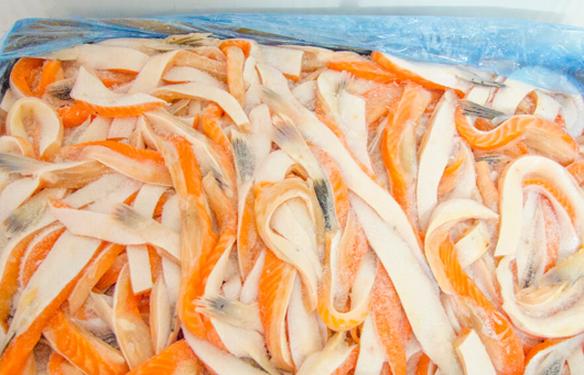 Frozen Salmon Fillet