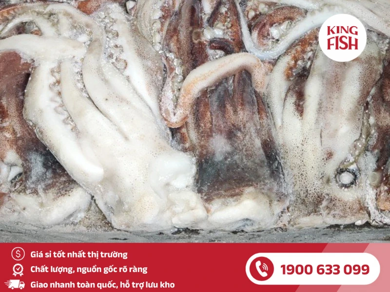kingfish-phan-phoi-rau-muc-dai-loan