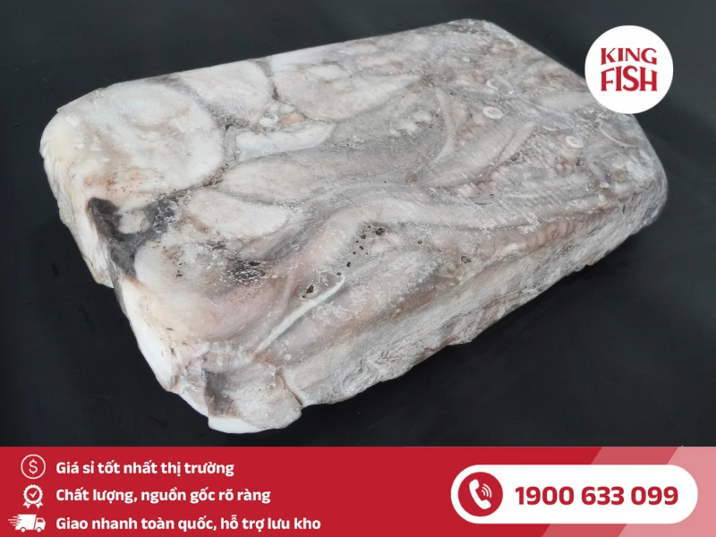 kingfish-phan-phoi-si-bach-tuoc-mada-xanh
