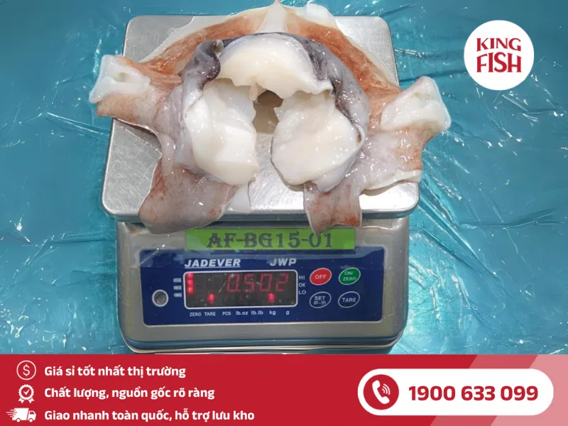 kingfish-phan-phoi-si-co-muc-ong-khong-lo