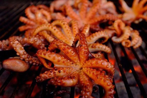 Unlocking the Delicious World of Octopus: Nutrition and Tasty Recipes