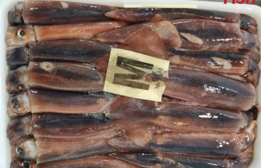 Frozen Argentine Squid