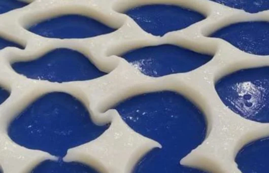 Vụn Mực Ống Khổng Lồ Fillet
