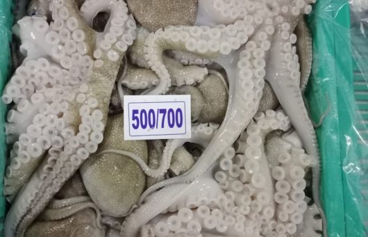 Bạch Tuộc 2 Da Đông Lạnh