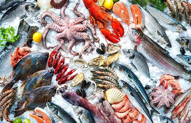 sỉ nguồn hải sản đông lạnh