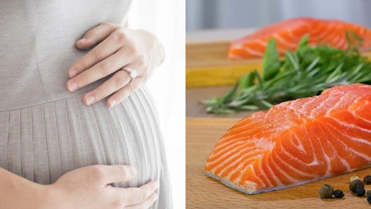 ba-bau-co-the-an-sashimi-ca-hoi-duoc-khong