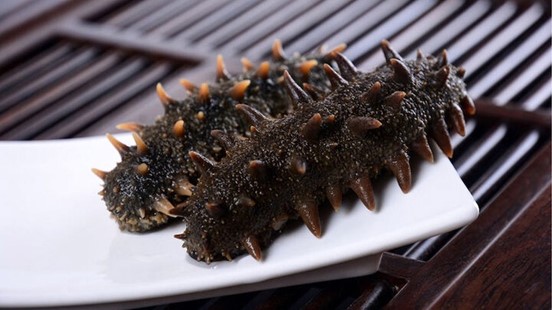 huong-dan-phan-biet-cac-loai-hai-sam-5