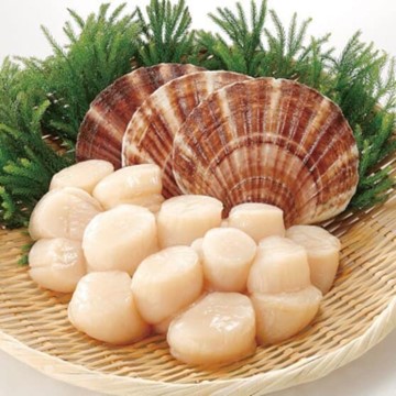 so-diep-co-gia-bao-nhieu-1-kg