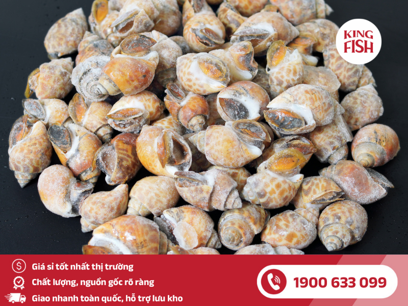 kingfish-phan-phoi-si-oc-huong-que