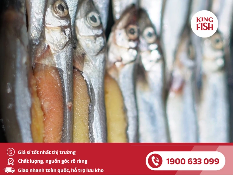 kingfish-cung-cap-si-ca-trung-nauy