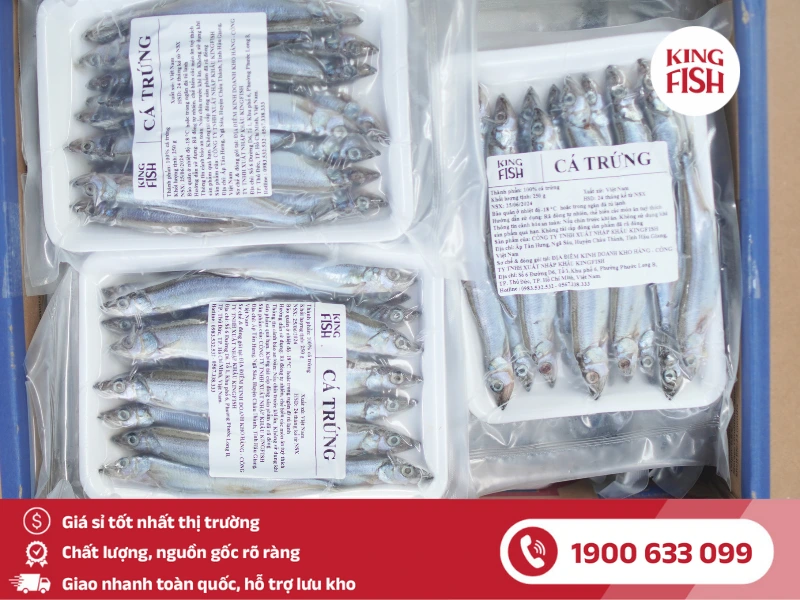 kingfish-phan-phoi-ca-trung-nauy