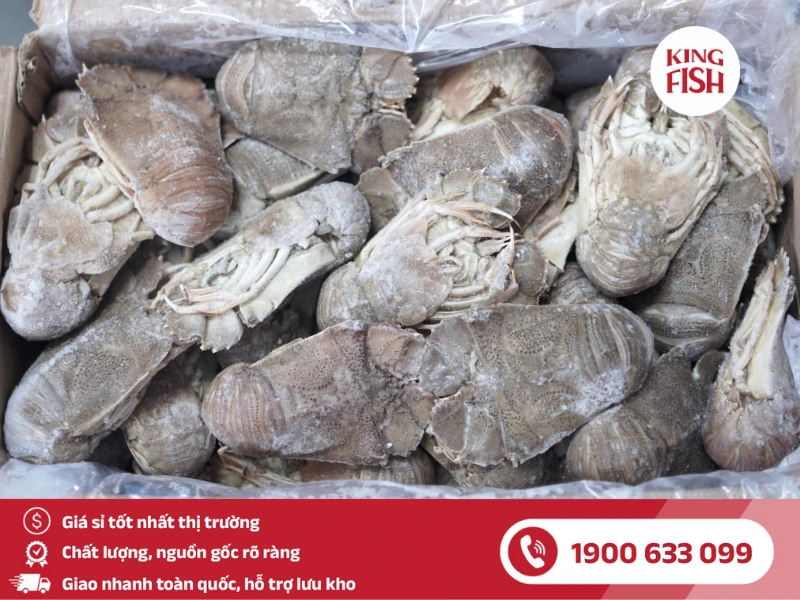 kingfish-phan-phoi-si-tom-mu-ni
