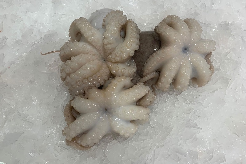 bach-tuoc-gia-bao-nhieu-1kg