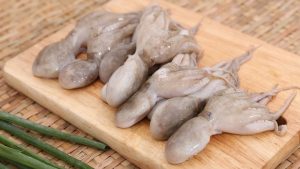 Bạch tuộc baby là gì? Bạch tuộc baby bao nhiêu 1kg?
