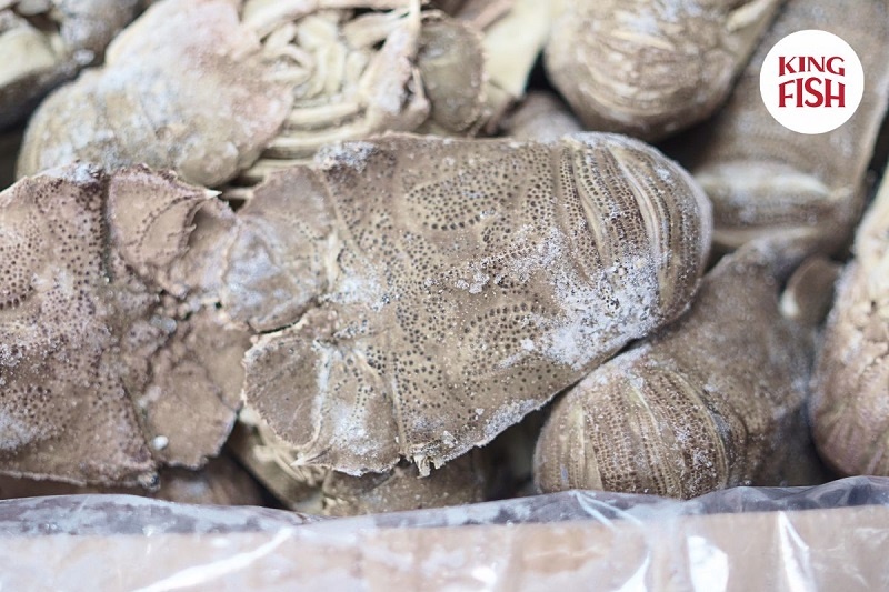 tom-mu-ni-gia-bao-nhieu-1-kg