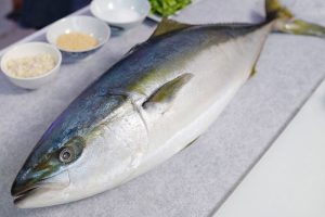 Cá cam bao nhiêu 1kg? Cá cam là cá gì? Mua cá cam ở đâu?