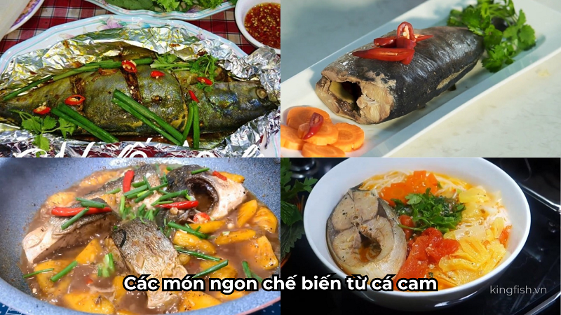 tong-hop-cac-mon-ngon-che-bien-tu-ca-cam