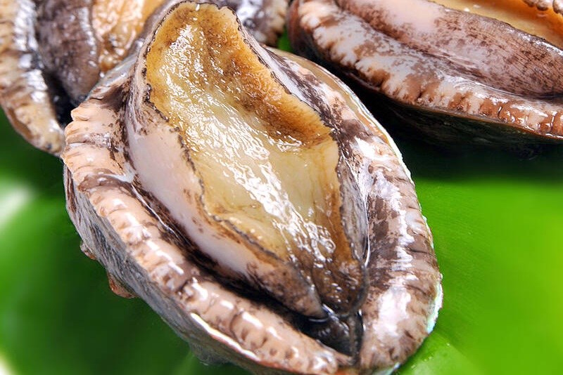 cach-chon-bao-ngu-ngon-1