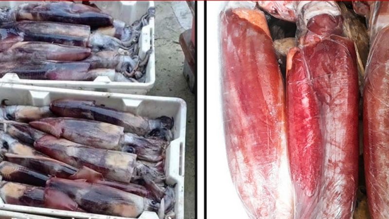 cach-phan-biet-muc-xa-va-mua-la-thong-qua-gia-ban-khac-nhau-tren-thi-truong