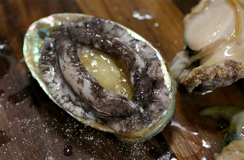 mua-bao-ngu-gia-si-tot-nhat-tai-kingfish