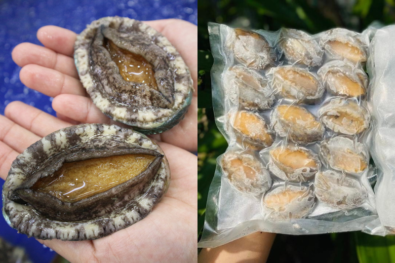 nen-lua-chon-bao-ngu-tuoi-song-hay-dong-lanh