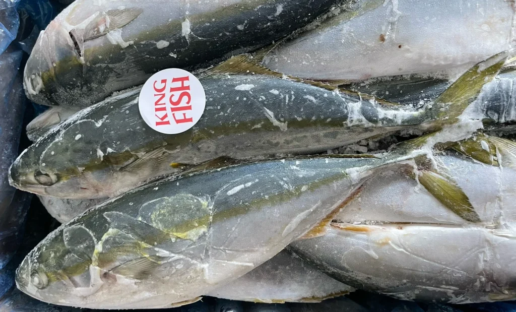 kingfish-phan-phoi-ca-cam-dong-lanh-gia-si-tot-nhat