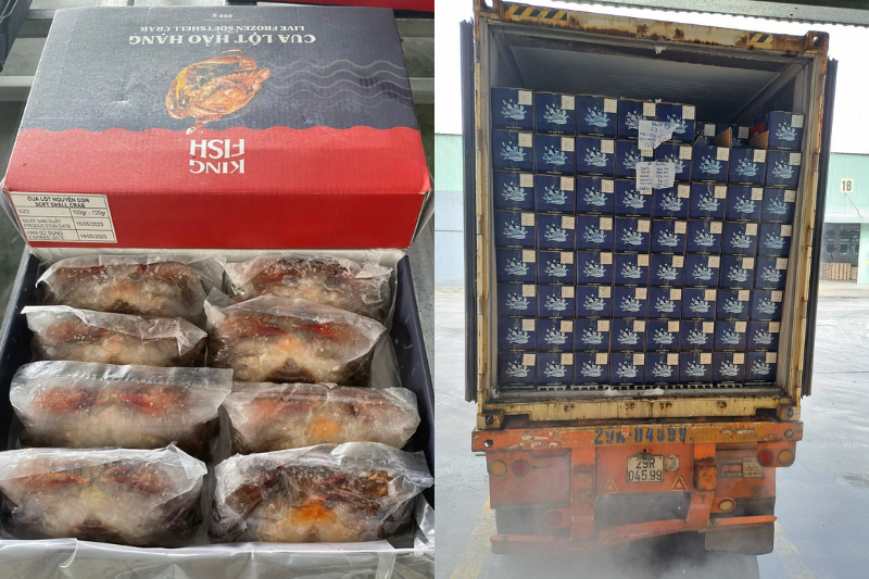 KINGFISH-cung-cap-cua-lot-dong-lanh-gia-si-tot-nhat