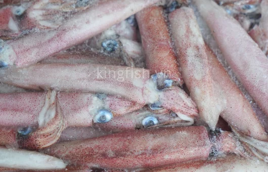Mực Sữa (Mực Ghim Trứng)