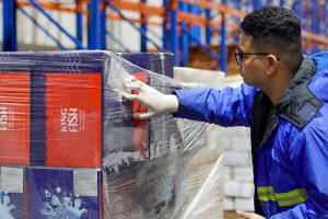 Giá mực và bạch tuộc thế giới tháng 10/2025 – tín hiệu phục hồi rõ nét